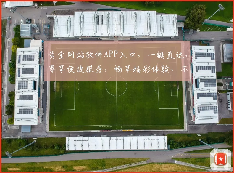 黄金网站软件APP入口，一键直达，尊享便捷服务，畅享精彩体验，不容错过