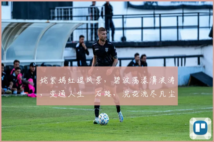 姹紫嫣红逗风景，碧波荡漾濞浪涛，变通人生箰石路，浣花洗尽凡尘梦。