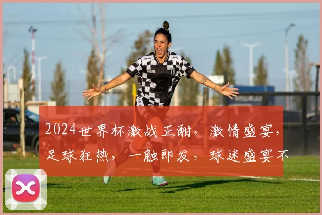2024世界杯激战正酣，激情盛宴，足球狂热，一触即发，球迷盛宴不容错过