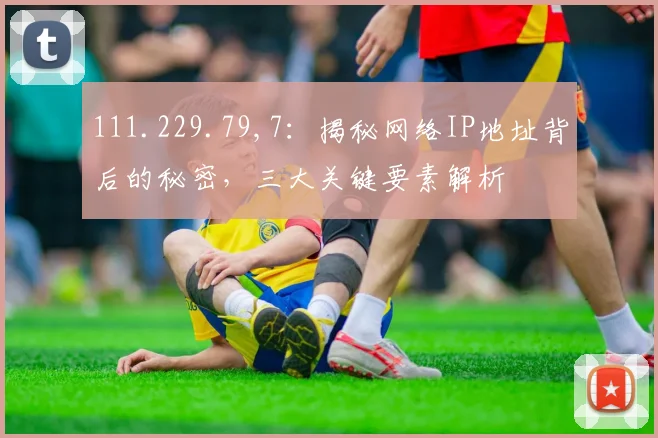 111.229.79,7：揭秘网络IP地址背后的秘密，三大关键要素解析